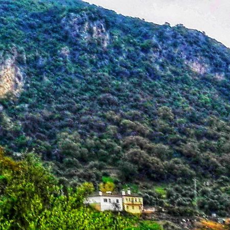El Antiguo Molino Guest House Ел Боске Екстериор снимка