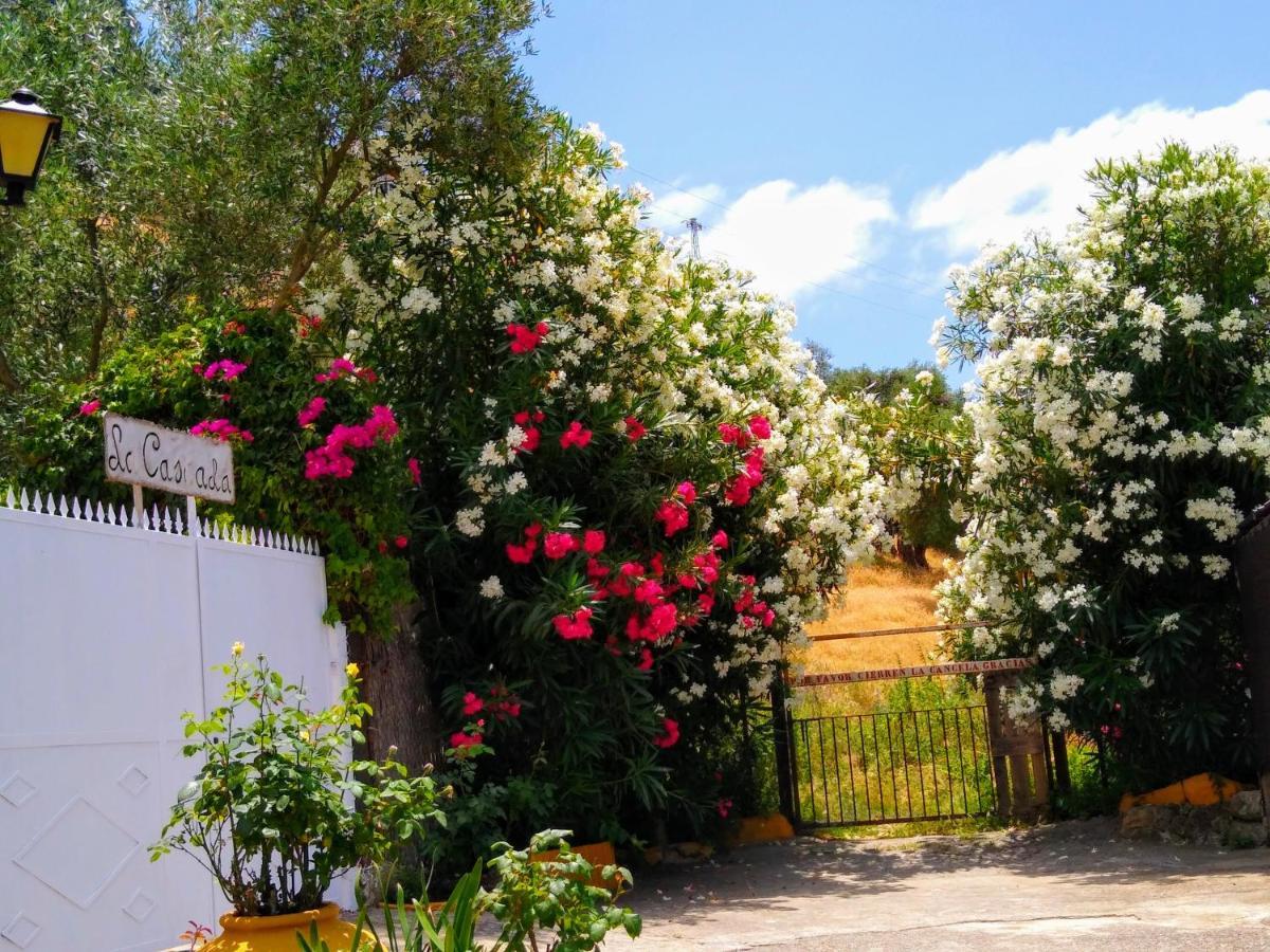 El Antiguo Molino Guest House Ел Боске Екстериор снимка