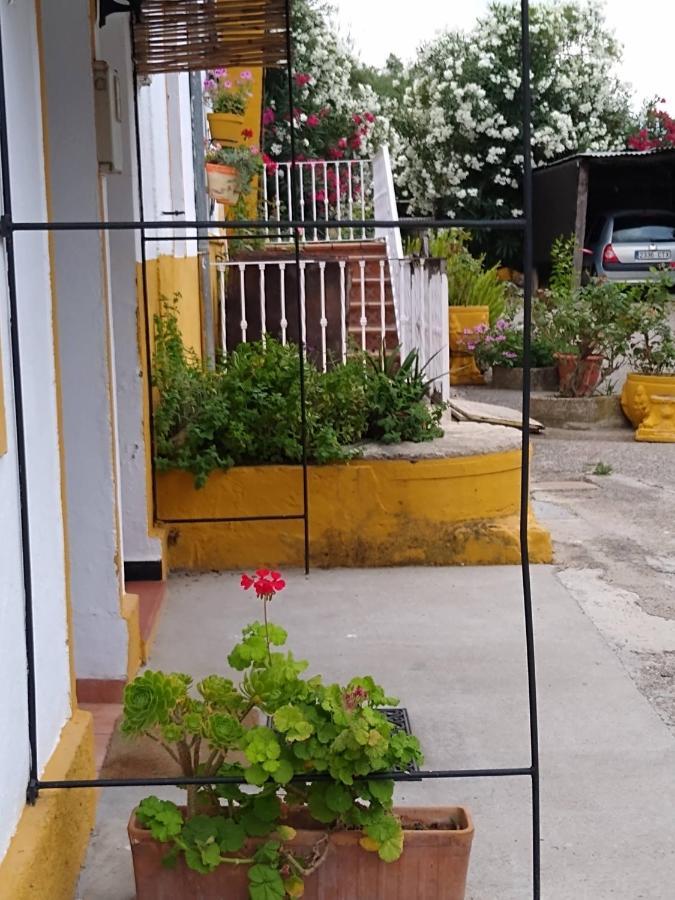 El Antiguo Molino Guest House Ел Боске Екстериор снимка