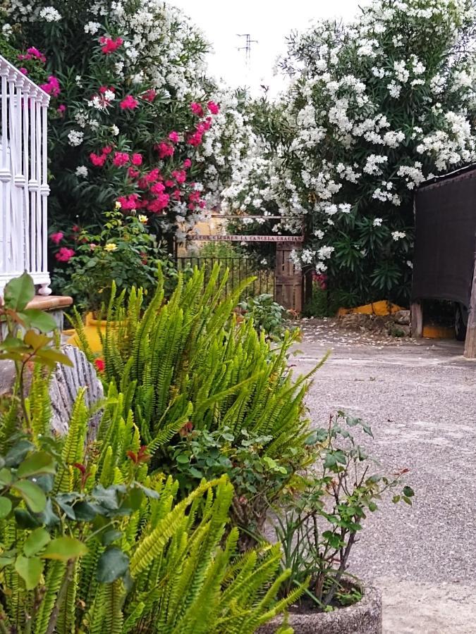 El Antiguo Molino Guest House Ел Боске Екстериор снимка