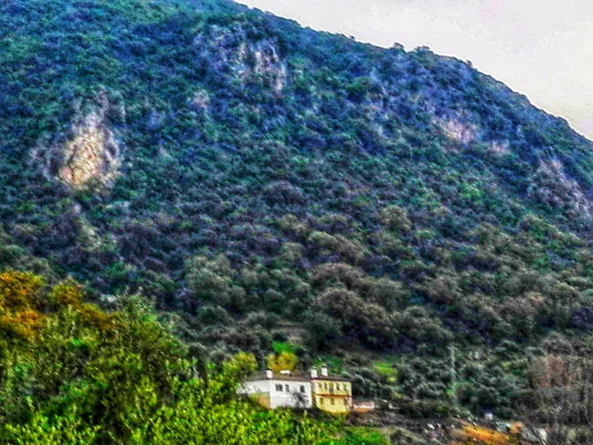 El Antiguo Molino Guest House Ел Боске Екстериор снимка