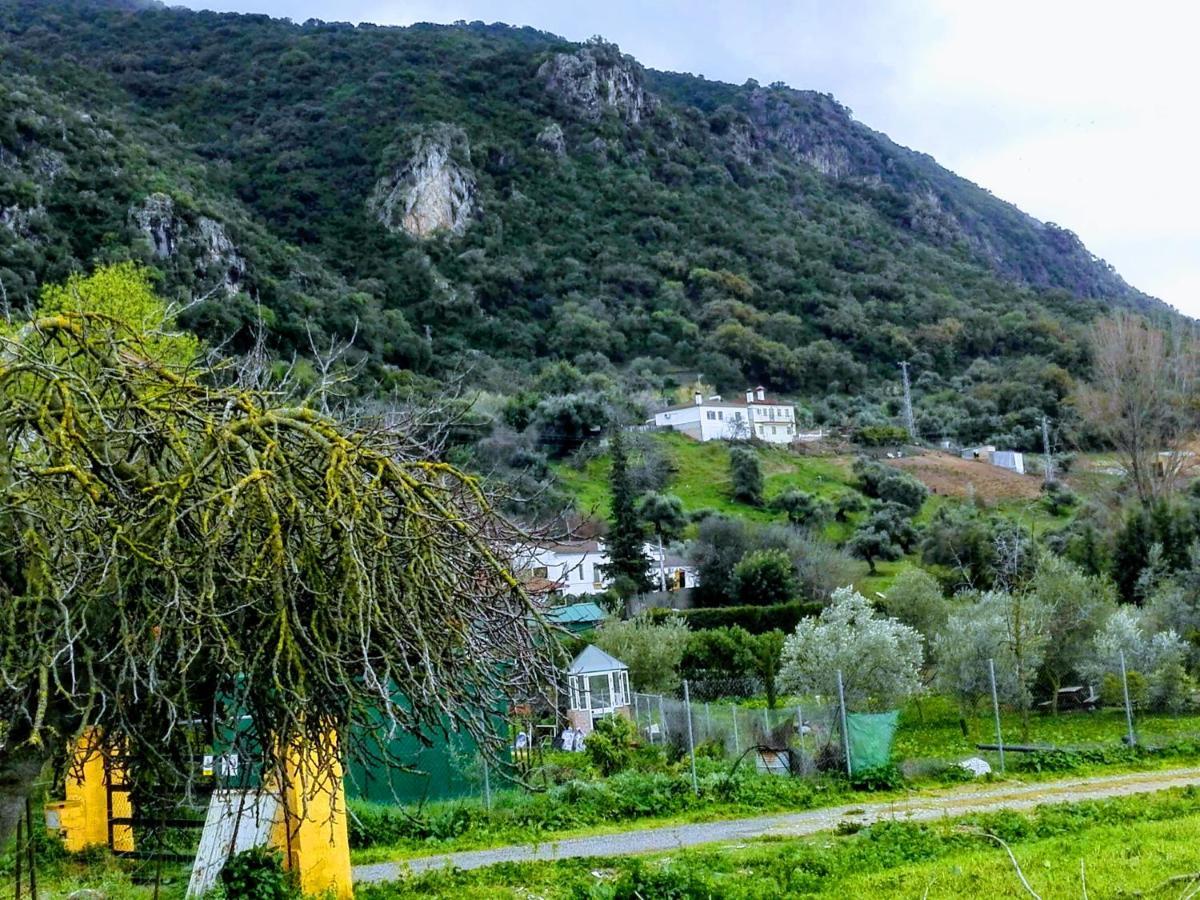 El Antiguo Molino Guest House Ел Боске Екстериор снимка